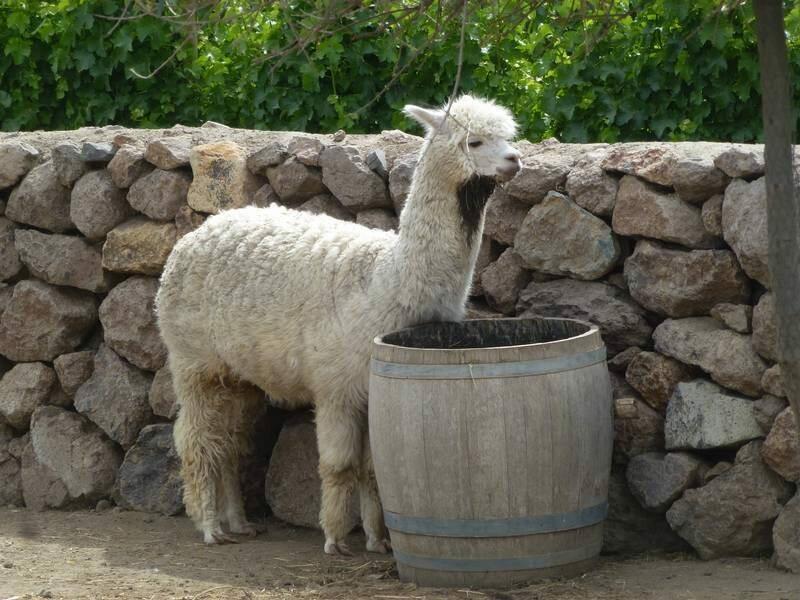 2012_12_18_10_57_00_2_800