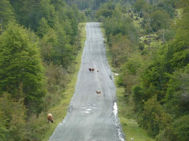 2012_12_22_19_11_00_2_800