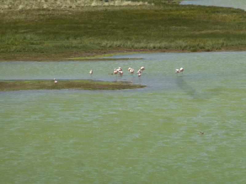 2012_12_25_14_29_00_1_800