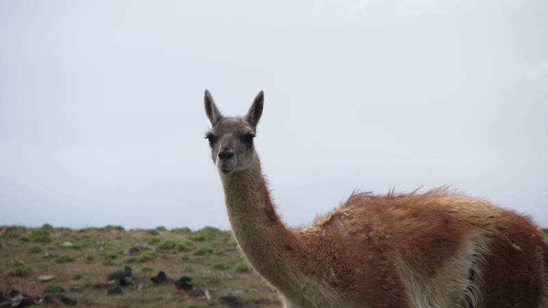 2012_12_28_16_59_00_1_800