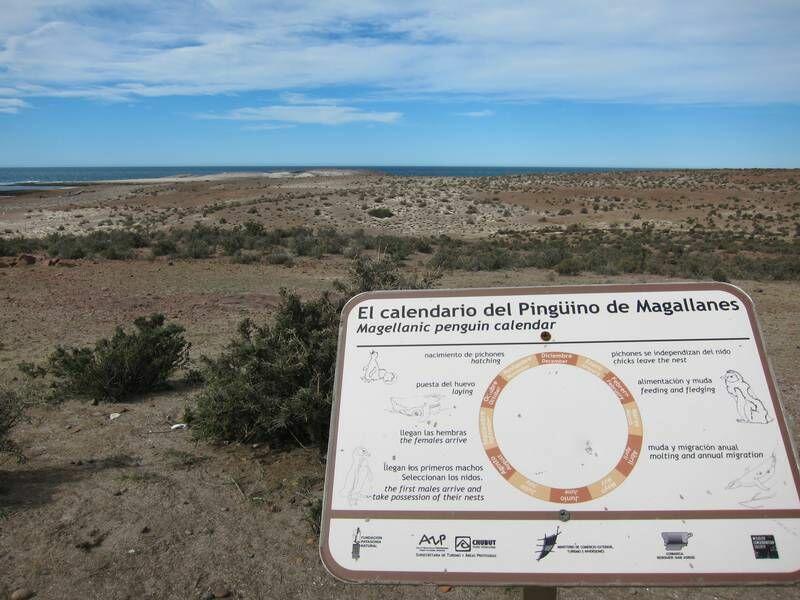 2013_01_05_16_35_00_800