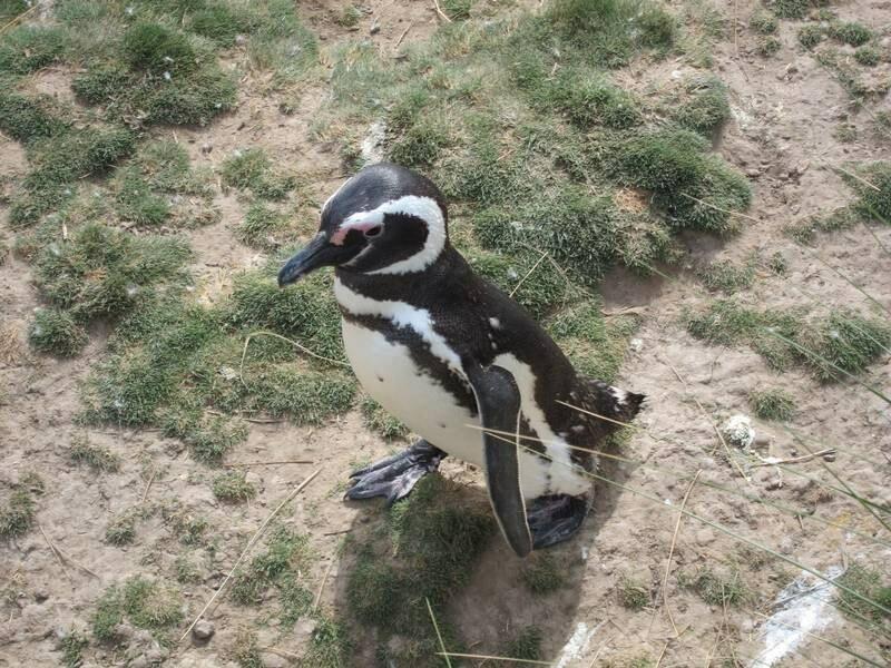 2013_01_05_16_42_00_000_800