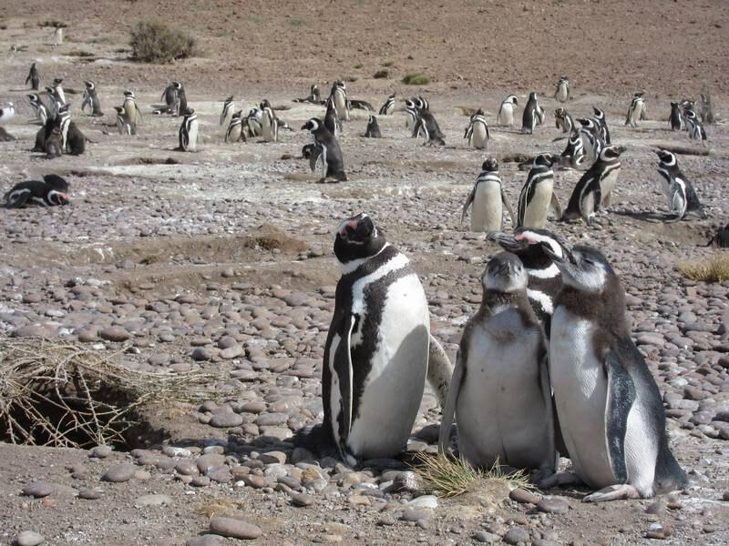 2013_01_05_16_54_00_3_800