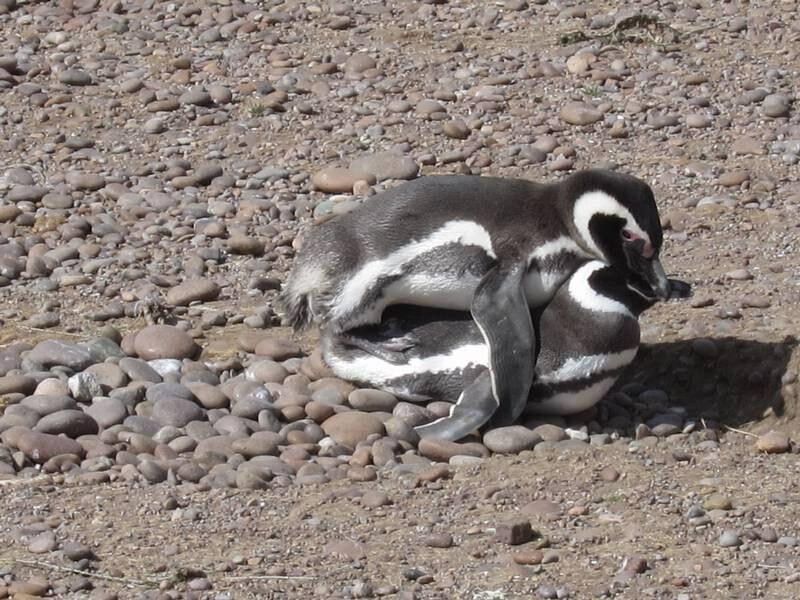 2013_01_05_16_54_00_800