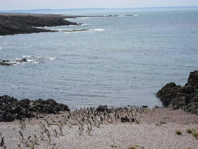 2013_01_05_16_56_00_1_800