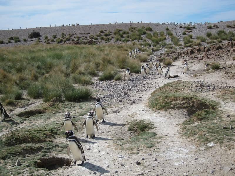 2013_01_05_17_10_00_000_800