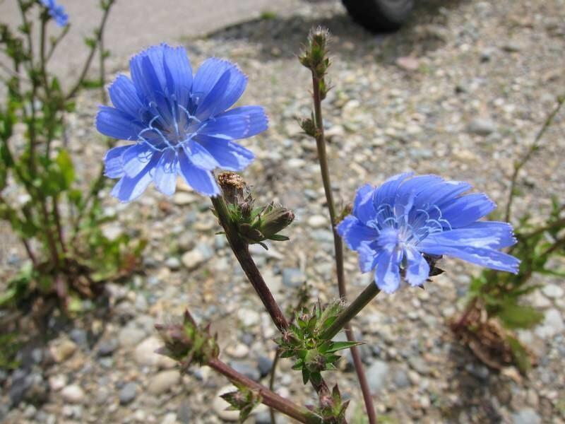 2013_01_07_13_59_00_2_800