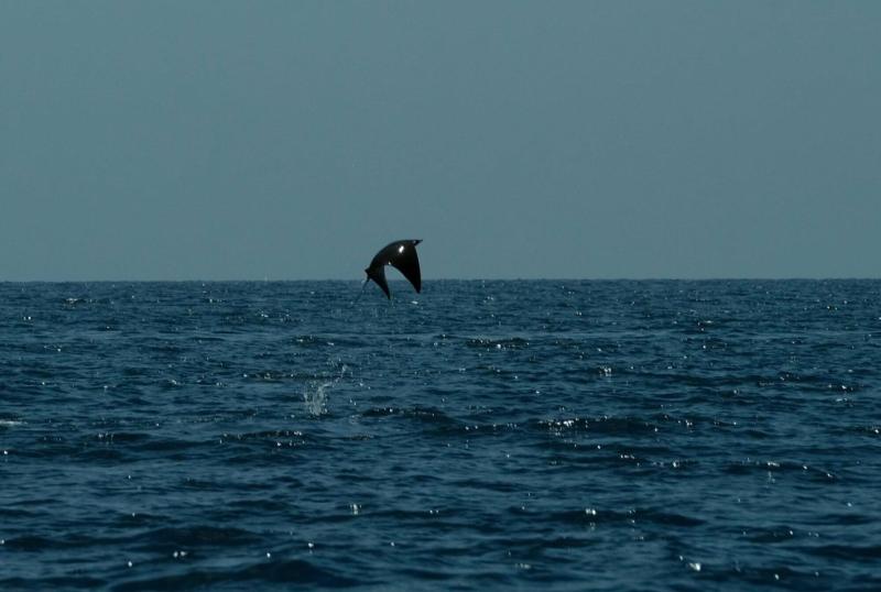 Mex2304_142-scaled-1